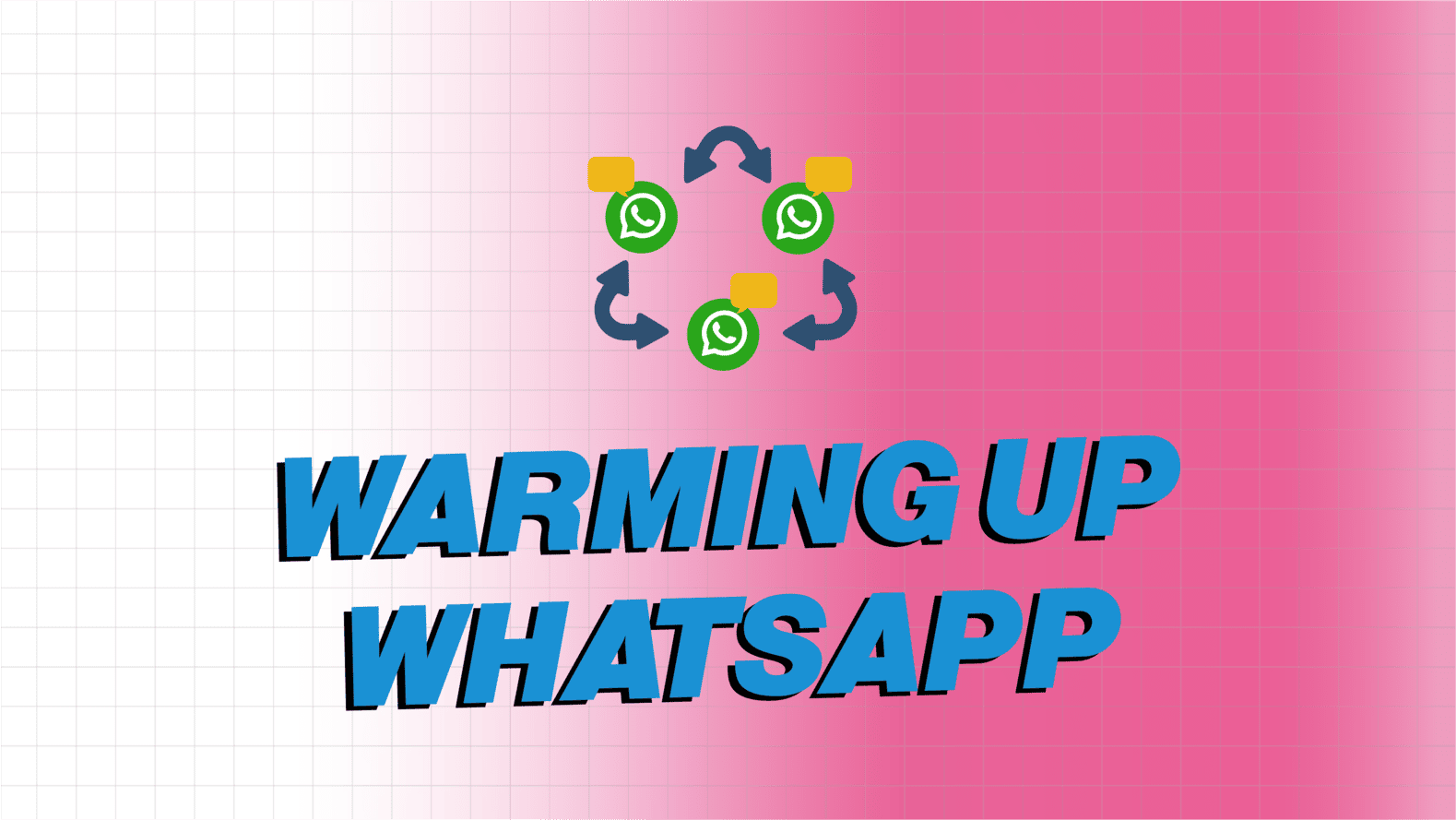 Video Review WhatsApp Warmer